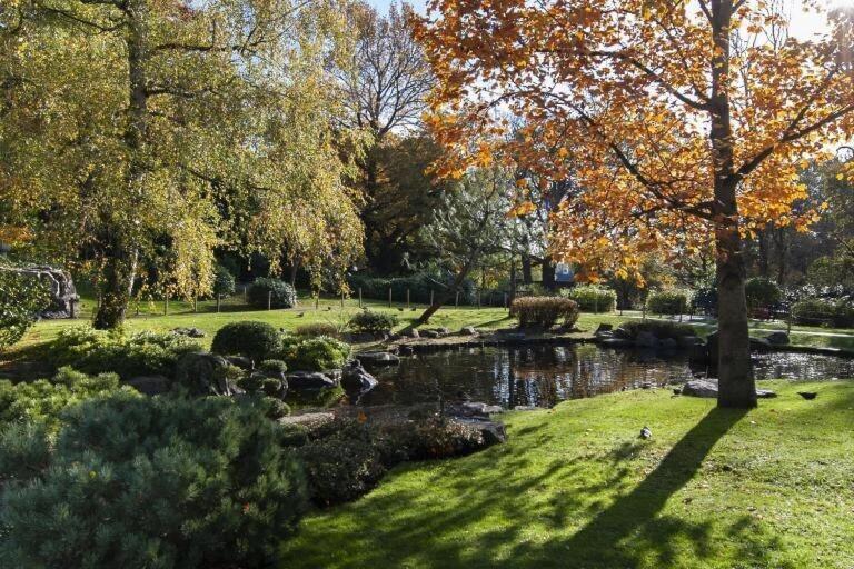1-Bed Apartment, Close To Kensington Olympia With Free Wi-Fi & Netflix London Exterior photo